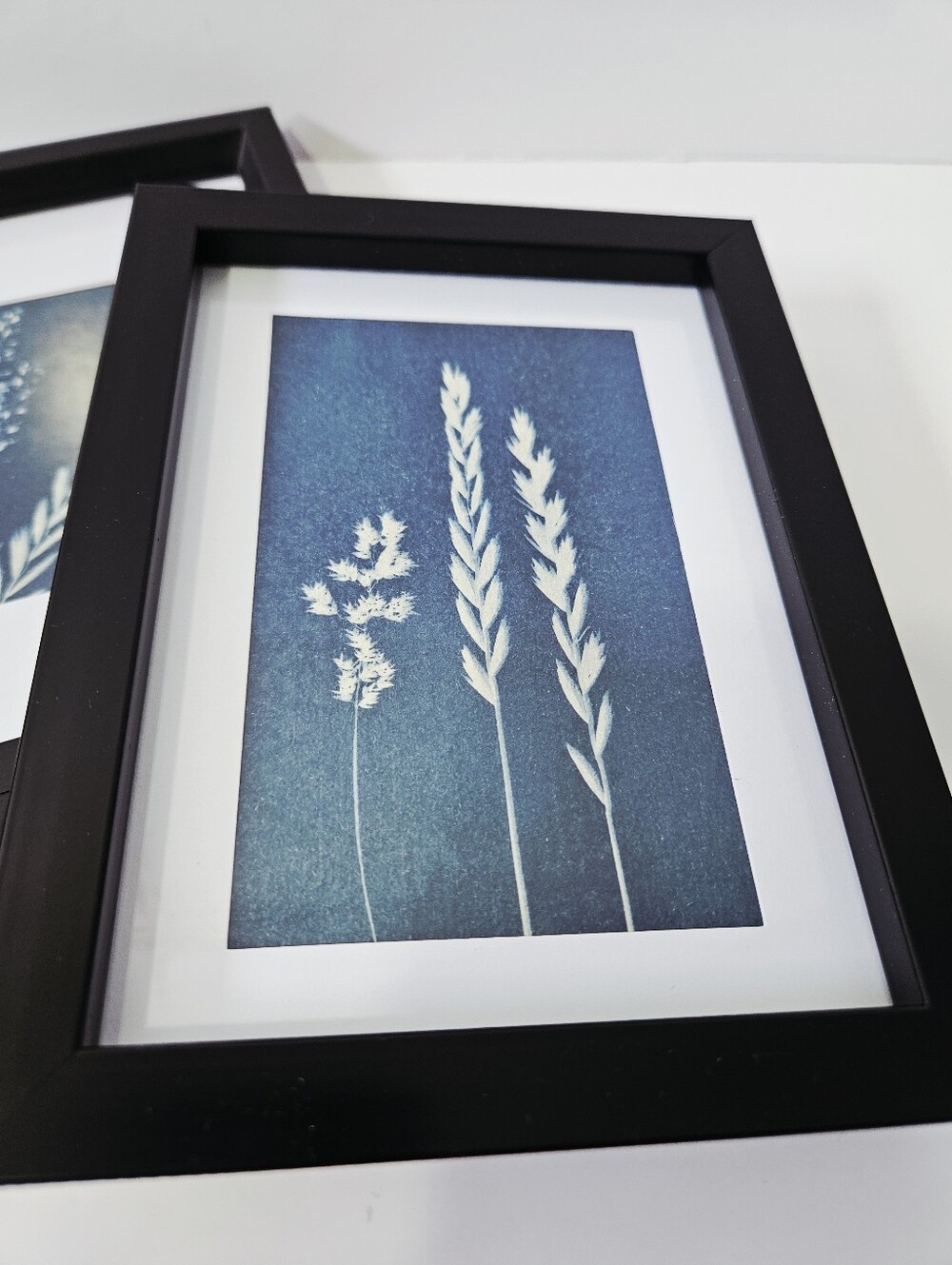 Handmade Original Cyanotype Botanical Art Framed Set Prairie Grasses Floral - Picture 2 of 3